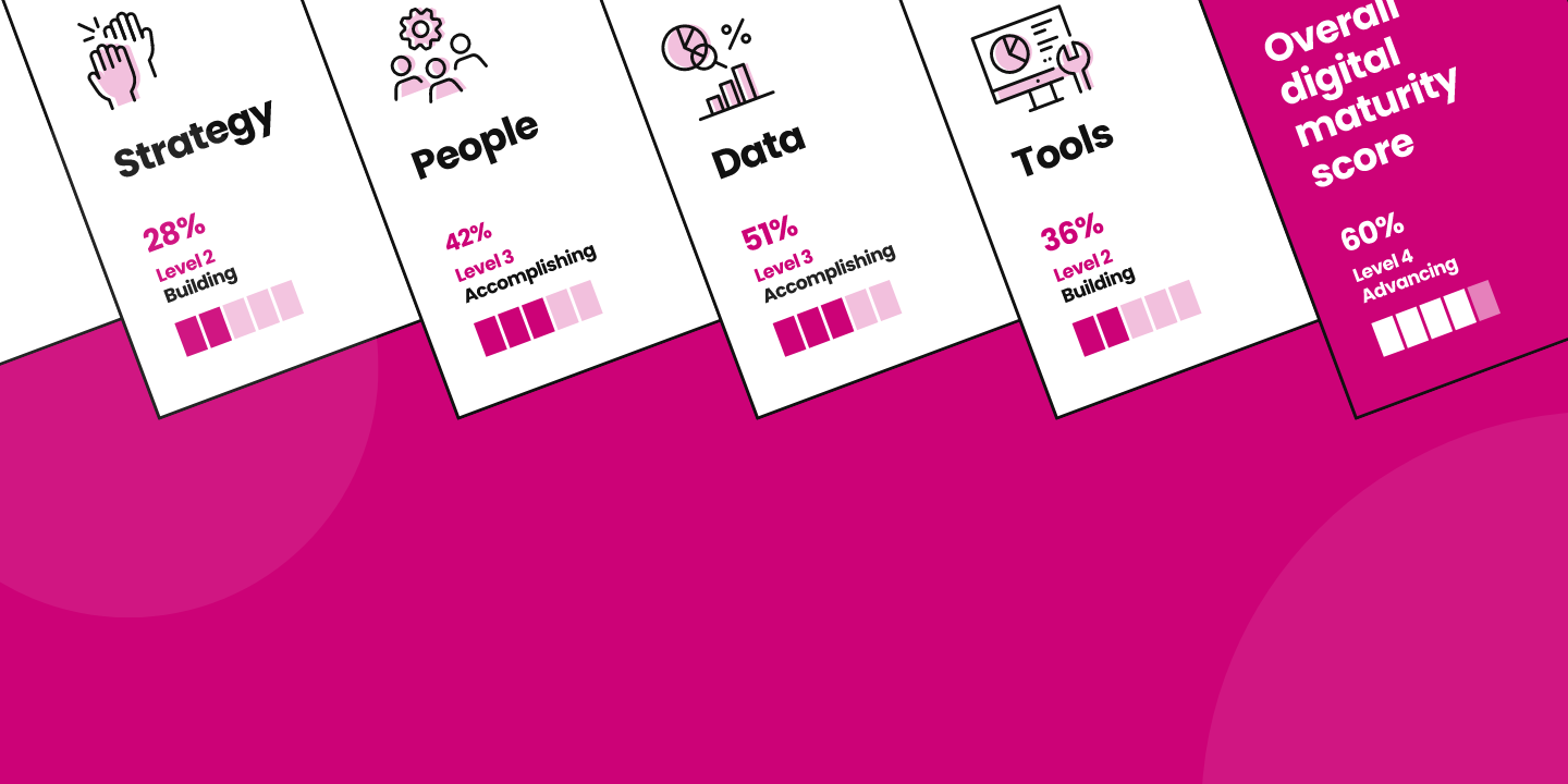 CharityWise digital maturity assessment tool